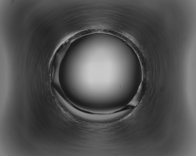 X0000086301022200704131605