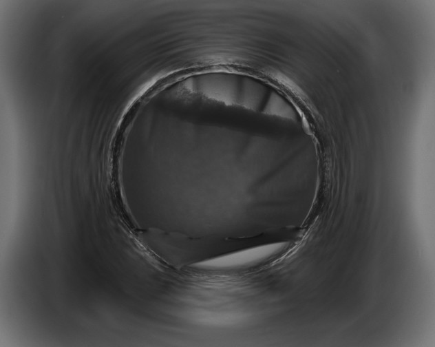 X0000086301023200704131605