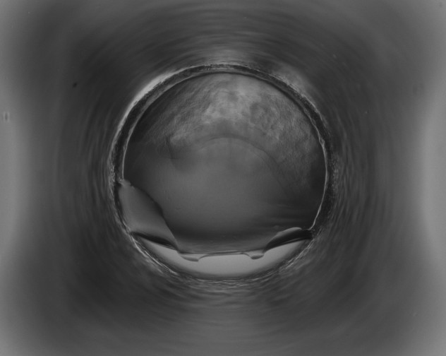 X0000086301024200704131605