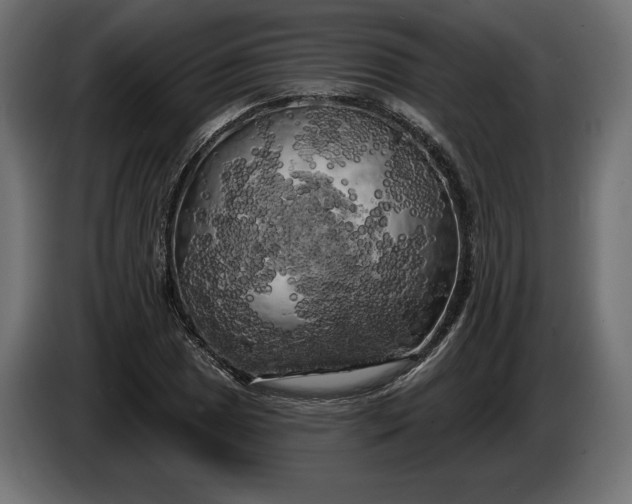 X0000086301025200704131605