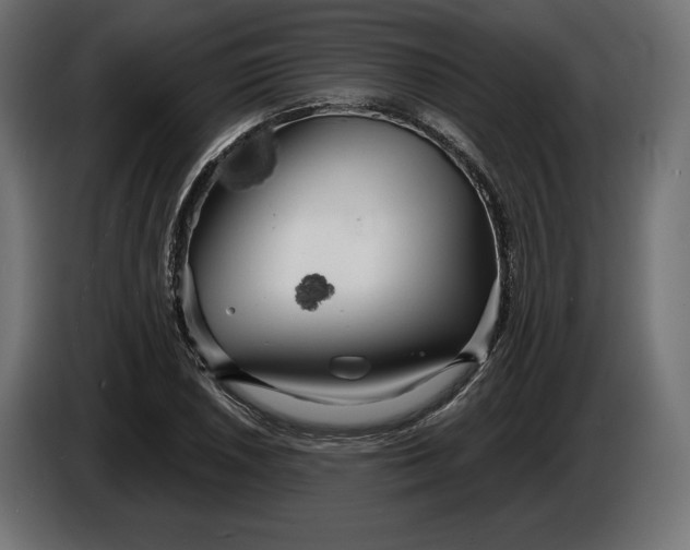 X0000086301026200704131605