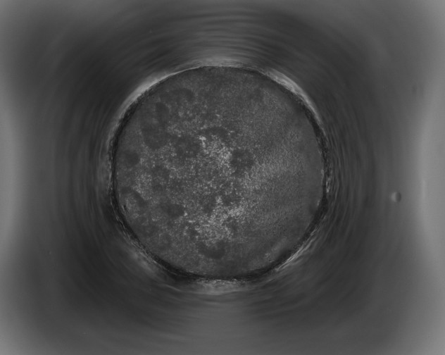 X0000086301027200704131605