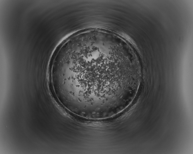 X0000086301028200704131605