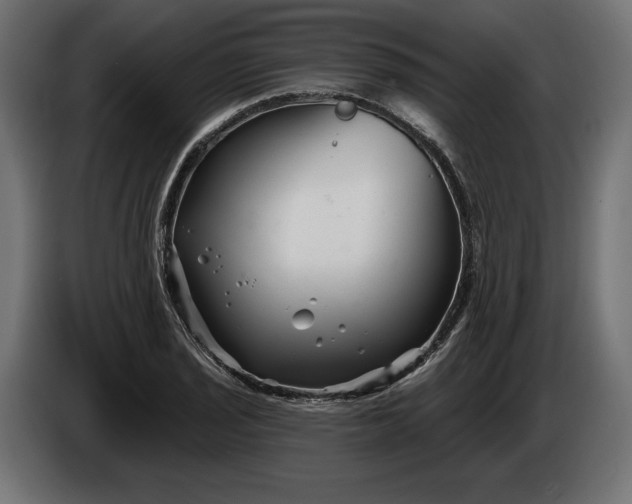 X0000086301029200704131605