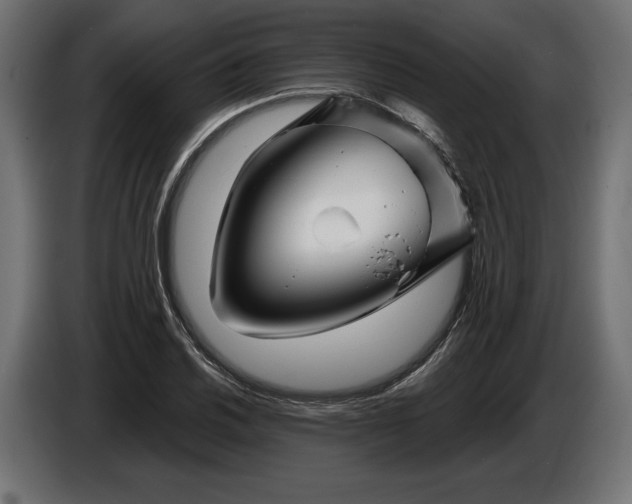 X0000086301030200704131605