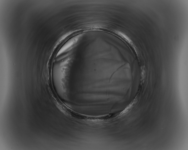 X0000086301031200704131605