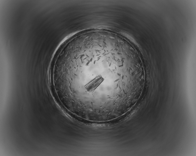 X0000086301032200704131605