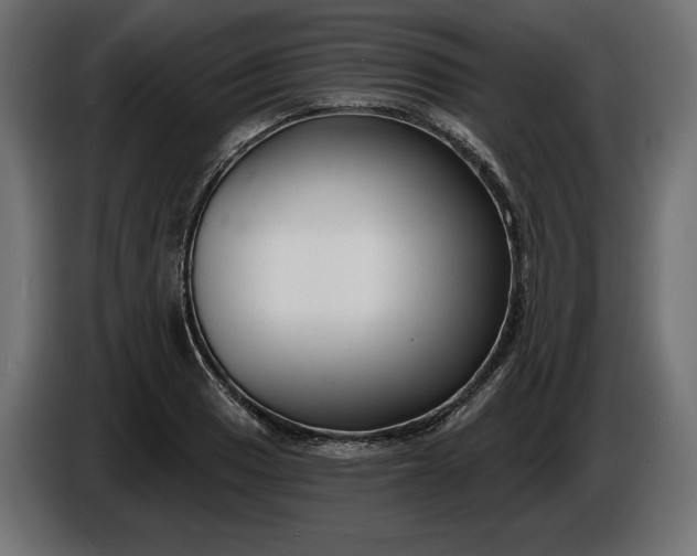 X0000086301033200704131605