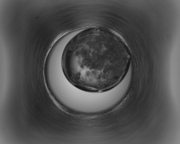 X0000086301034200704131605