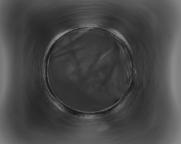 X0000086301035200704131605