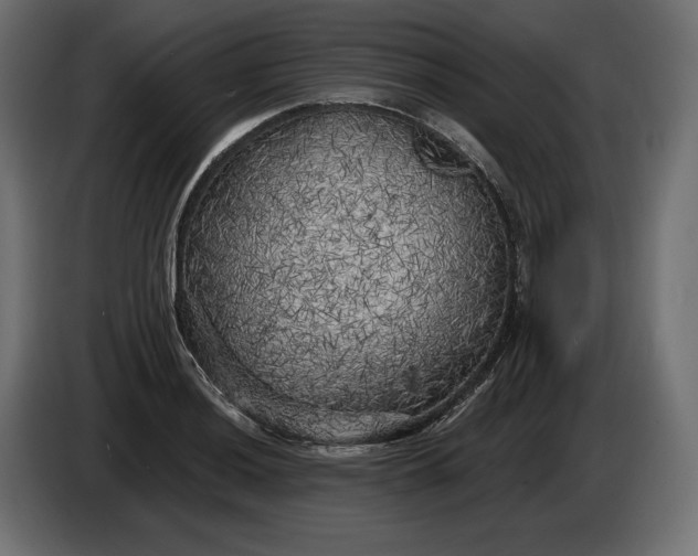 X0000086301036200704131605