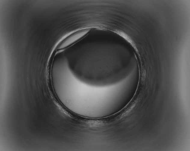 X0000086301037200704131605