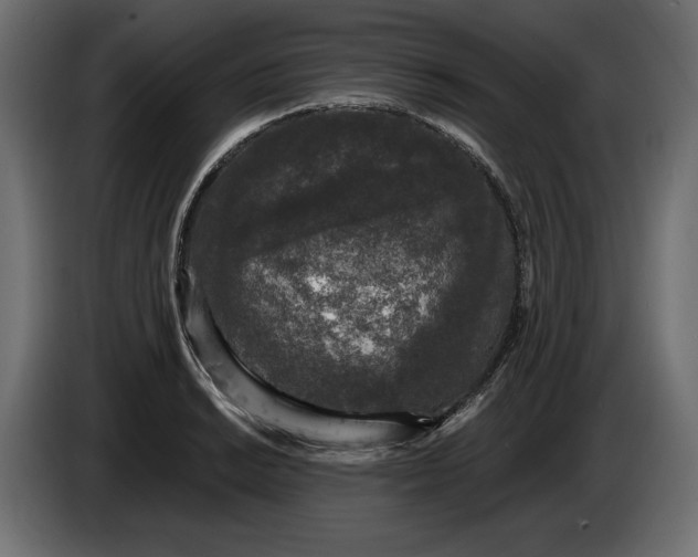 X0000086301038200704131605