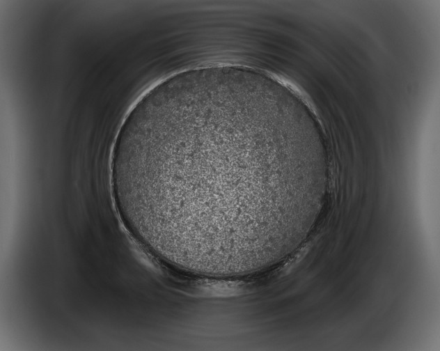 X0000086301039200704131605