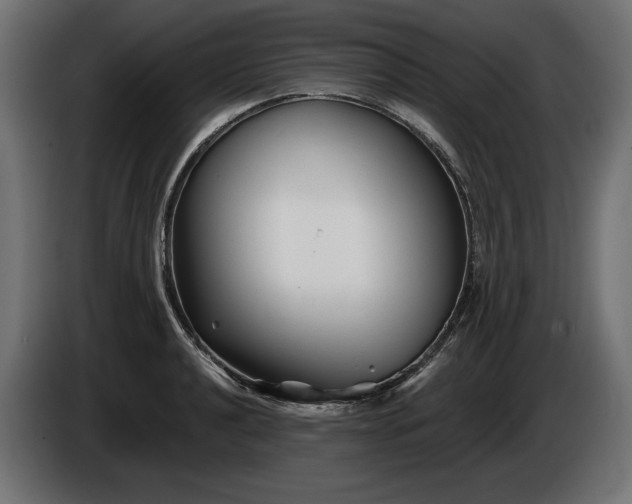 X0000086301040200704131605