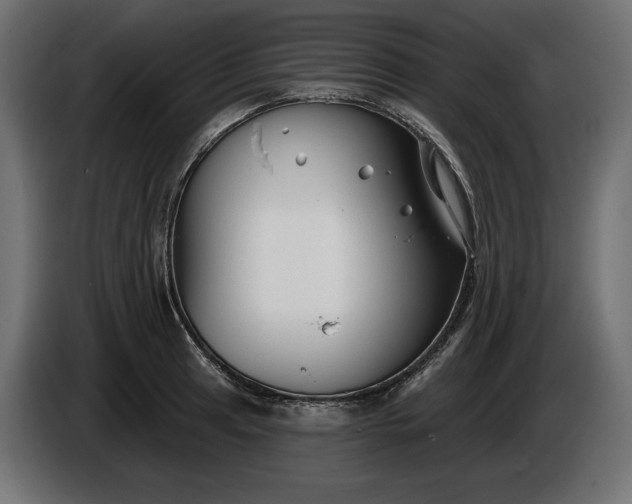 X0000086301041200704131605