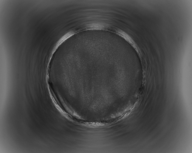 X0000086301042200704131605