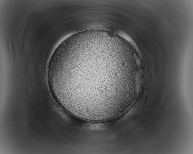 X0000086301043200704131605