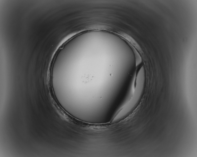 X0000086301044200704131605