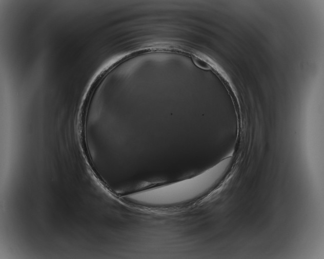 X0000086301045200704131605