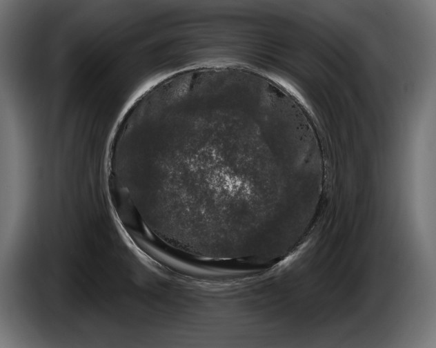 X0000086301046200704131605