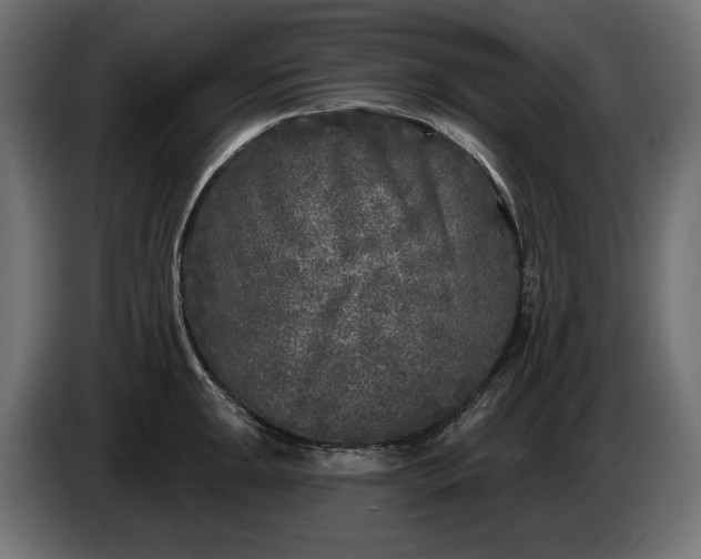 X0000086301047200704131605