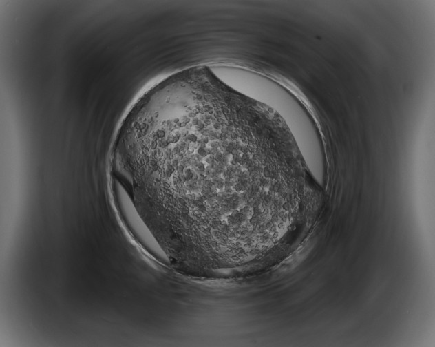 X0000086301048200704131605