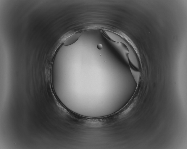 X0000086301049200704131605