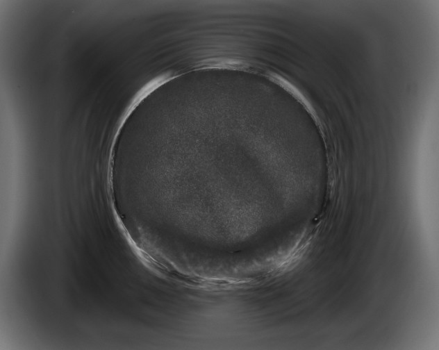 X0000086301050200704131605