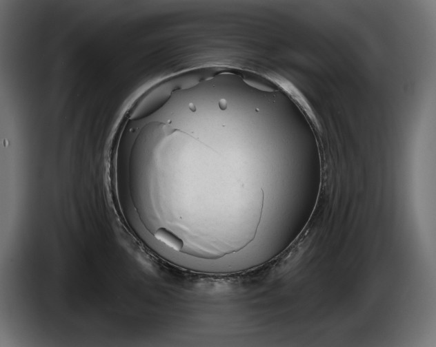 X0000086301051200704131605