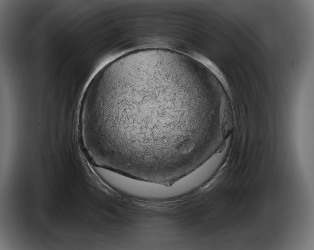 X0000086301052200704131605