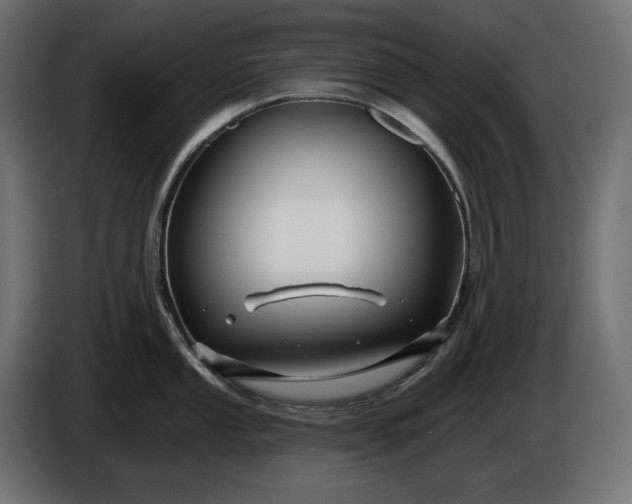 X0000086301053200704131605