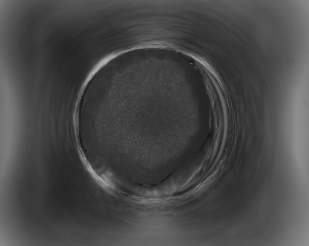 X0000086301054200704131605