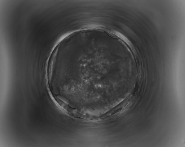 X0000086301055200704131605