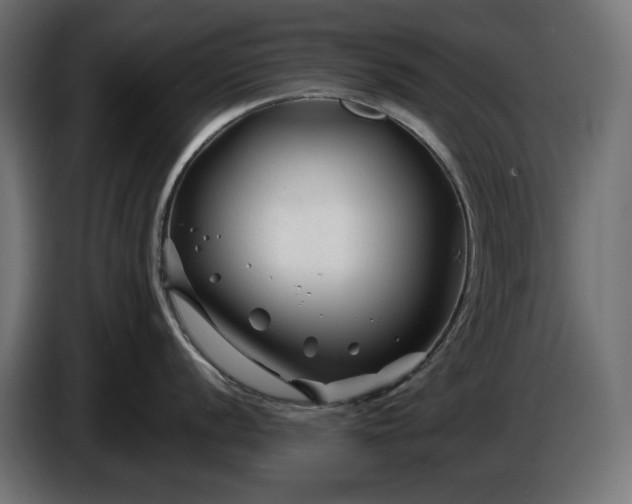 X0000086301056200704131605