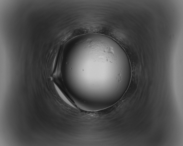 X0000086301058200704131605