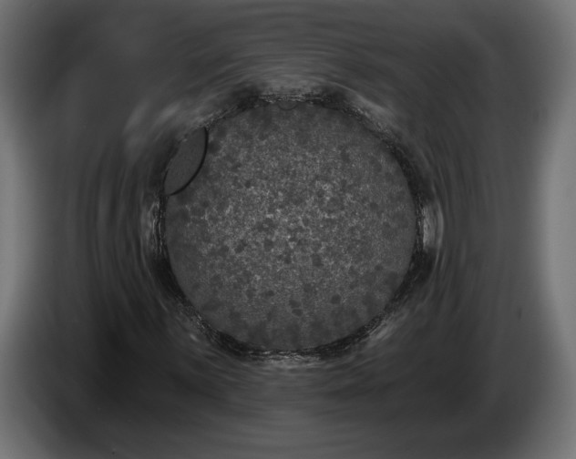 X0000086301059200704131605