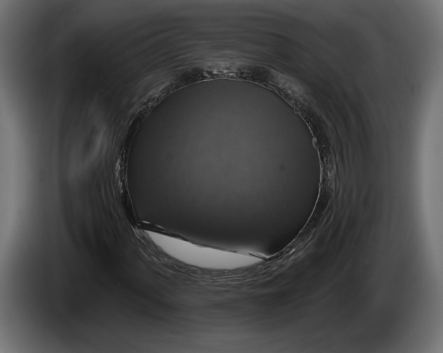 X0000086301060200704131604