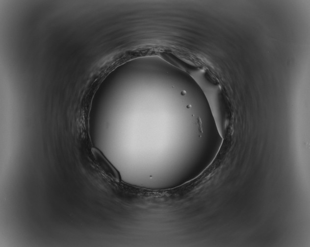 X0000086301062200704131604