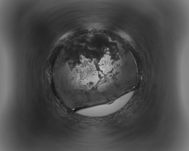 X0000086301063200704131604