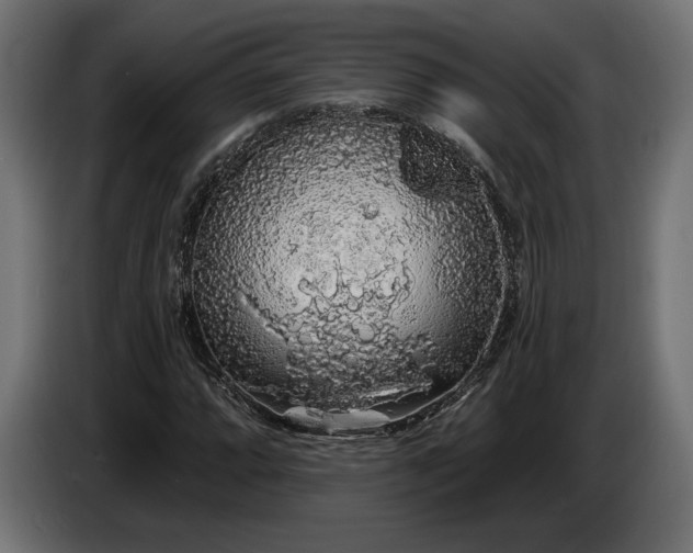 X0000086301064200704131604