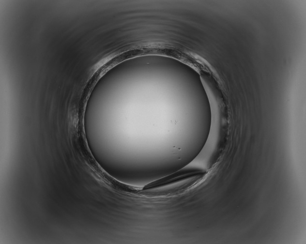 X0000086301065200704131604