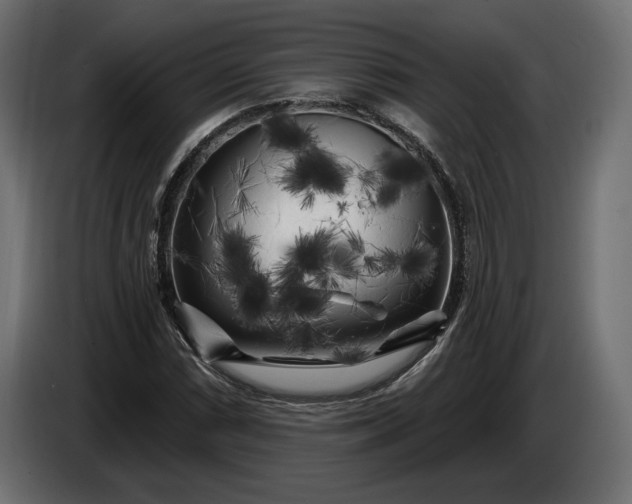 X0000086301066200704131604