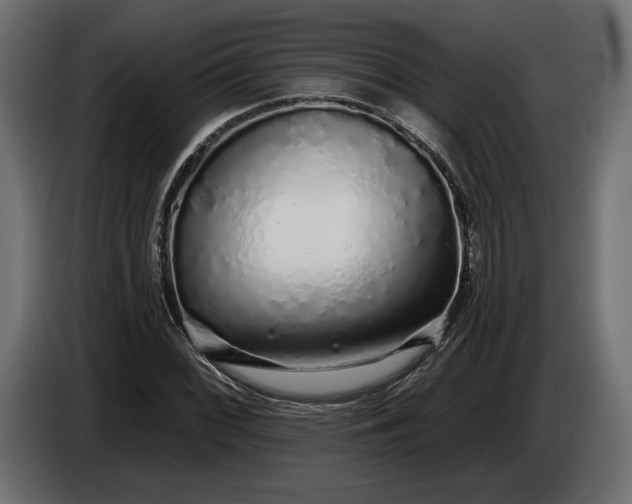 X0000086301068200704131604