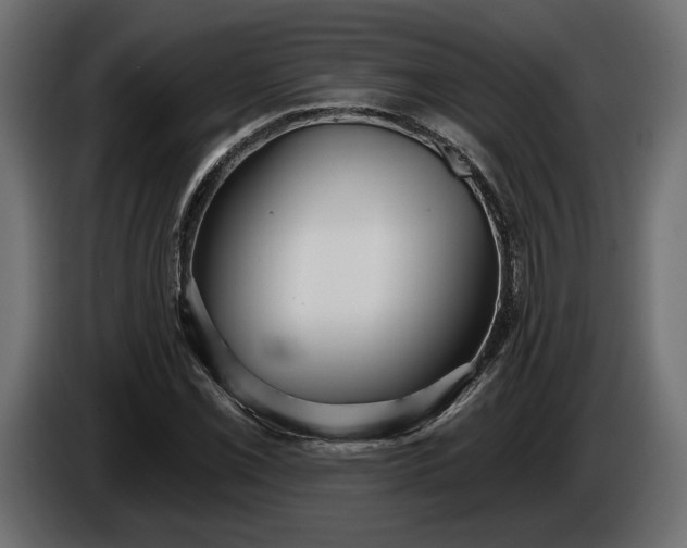 X0000086301069200704131604