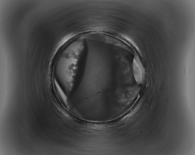 X0000086301071200704131604