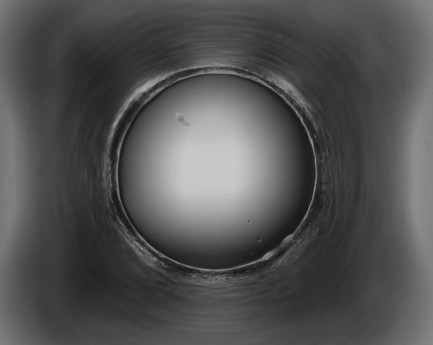 X0000086301072200704131604