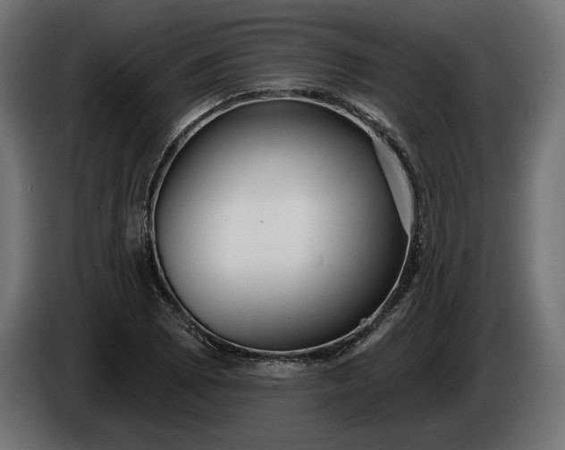 X0000086301073200704131604