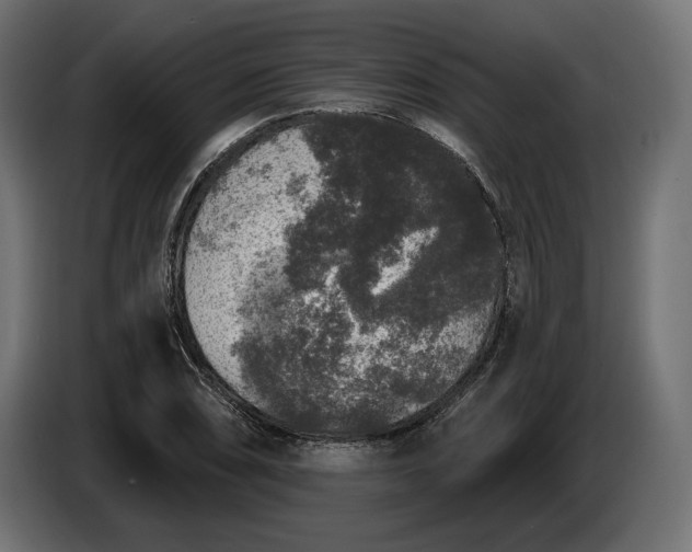 X0000086301074200704131604