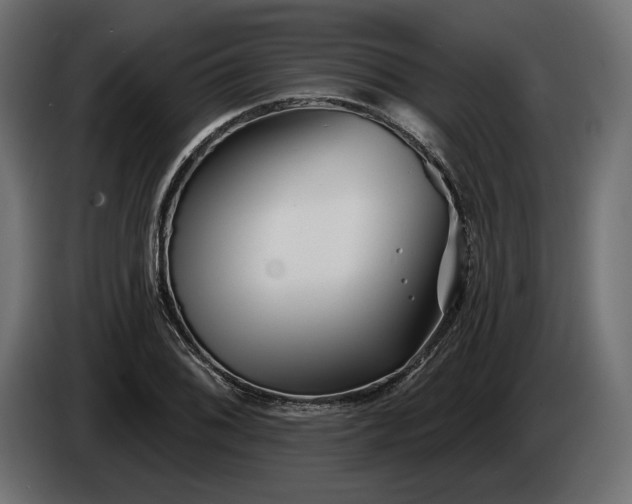 X0000086301076200704131604